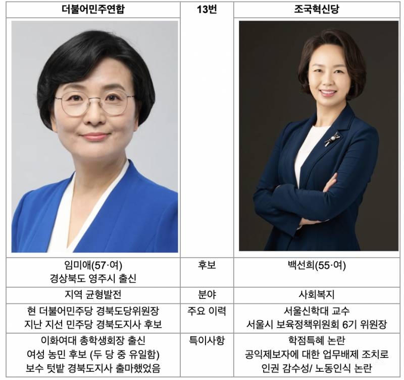 더민주 & 조국당 비례 정보/논란 정리 (13번~15번) | 인스티즈