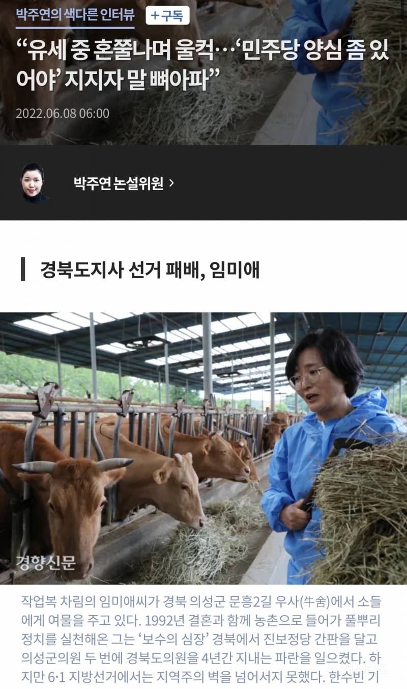 더민주 & 조국당 비례 정보/논란 정리 (13번~15번) | 인스티즈