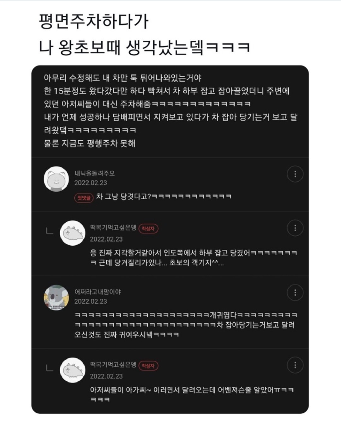 [잡담] 이 평행주차 글 볼때마다 나 같아서 웃김 | 인스티즈