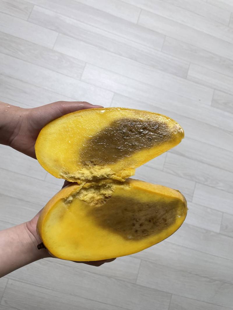 [잡담] 망고 이거 상한고야? | 인스티즈