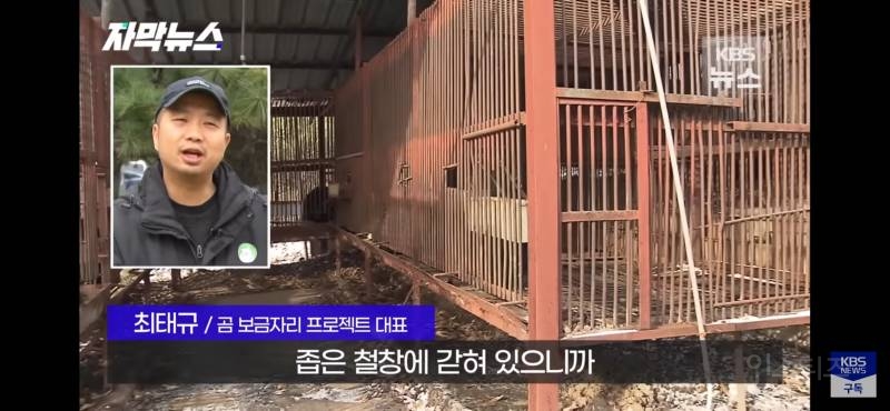 푸공주가 부럽다, 우리는 이렇게 갇혀 잊혀 가는데 (사육곰) | 인스티즈