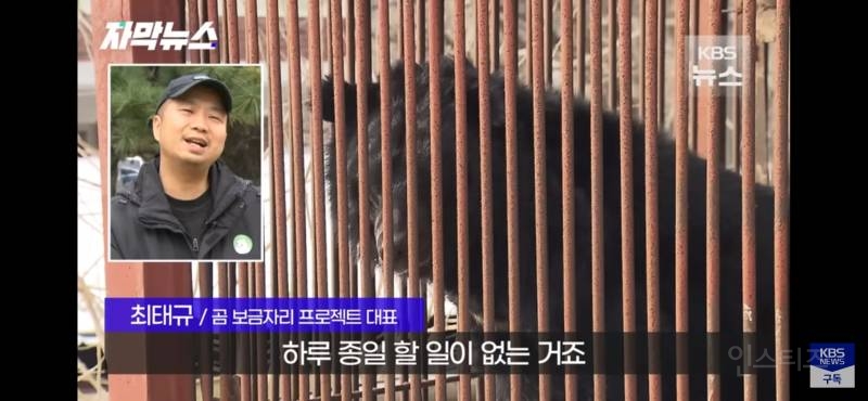 푸공주가 부럽다, 우리는 이렇게 갇혀 잊혀 가는데 (사육곰) | 인스티즈