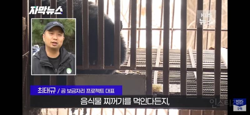 푸공주가 부럽다, 우리는 이렇게 갇혀 잊혀 가는데 (사육곰) | 인스티즈