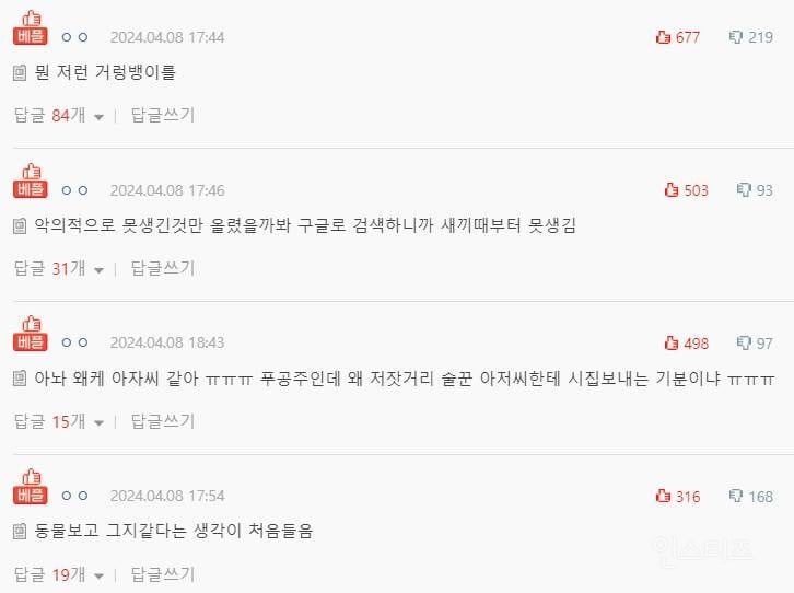 푸바오 짝짓기 상대 공개 반응 | 인스티즈