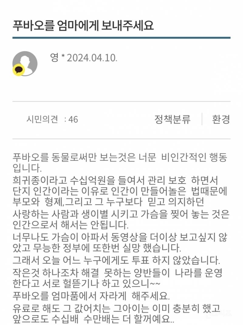 푸바오 반환으로 난리난 서울시 시민제안 사이트 | 인스티즈