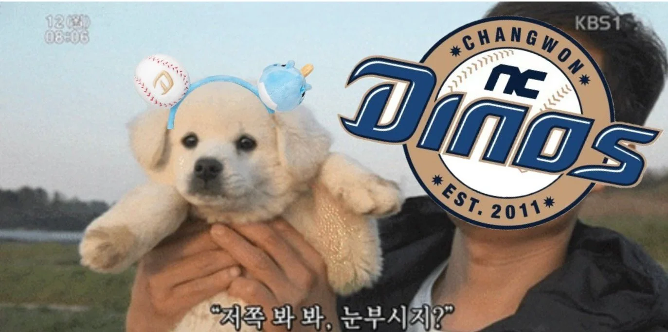 [잡담] 아 우리 댓꾸 하루만에 온도차 장난아님 | 인스티즈