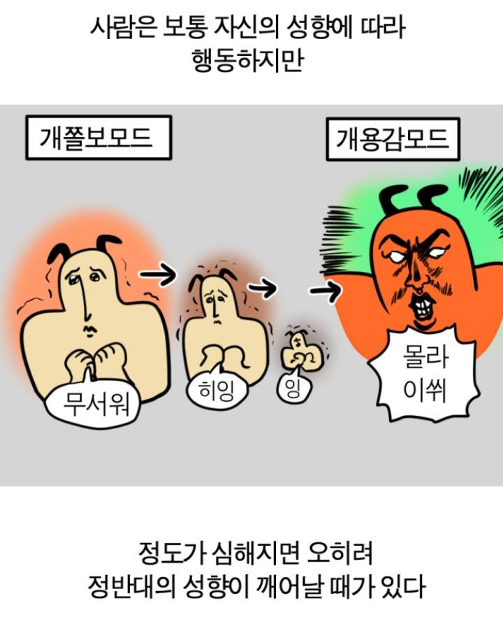 [잡담] 카스타노 기적의 퀄스 뭐지 | 인스티즈