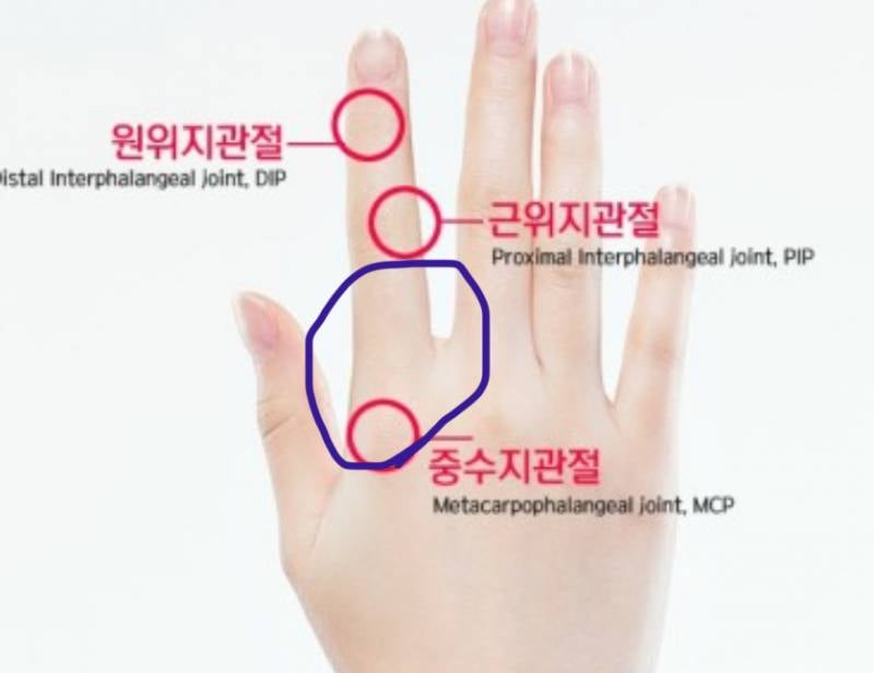 [잡담] 손가락 관절 2주동안 아픈데 병원 가야하나??; | 인스티즈