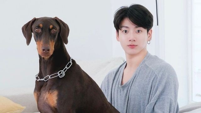 [잡담] 밤이랑 정국 닮은꼴 레전드는 이 사진임 | 인스티즈