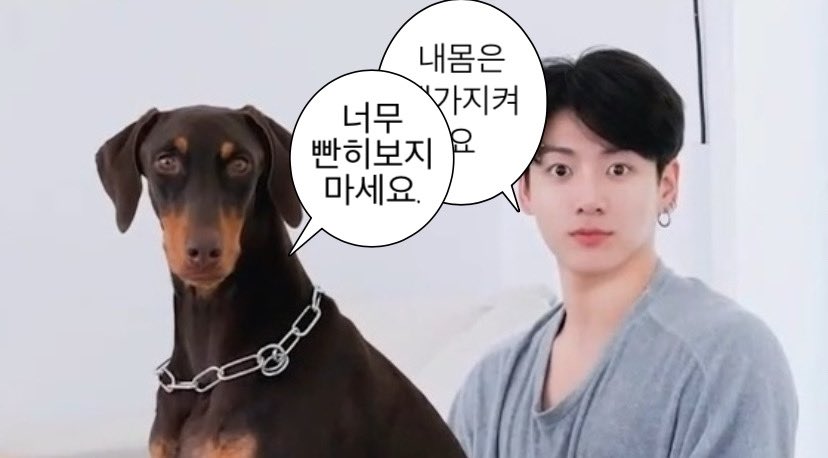 [잡담] 다시보는 의젓한 밤이랑 쥬잉 정국이 | 인스티즈