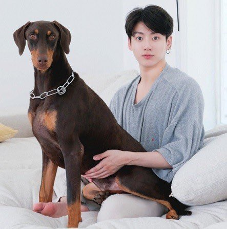 [잡담] 밤이가 정국이를 어떻게 키운거야? | 인스티즈