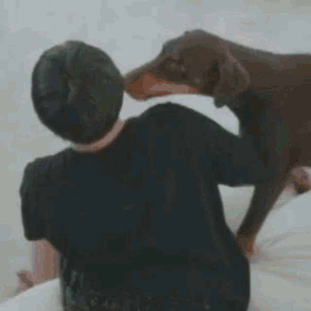 [잡담] 밤이 틈만나면 정국이한테 뽀뽀함ㅋㅋㅋㅋㅋ | 인스티즈