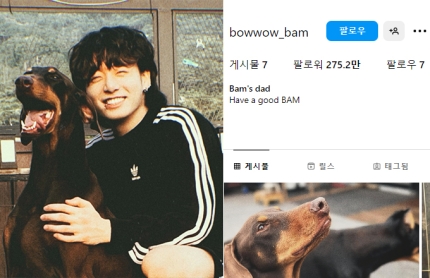 [정보/소식] '팔로워 5240만' SNS 탈퇴한 정국, '이 계정' 만들자 반응 폭발 | 인스티즈