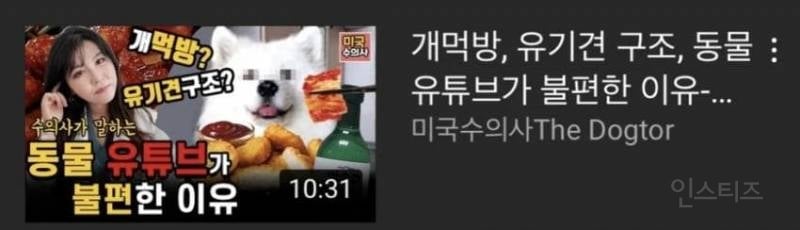 요즘 비호감이라는 유튜버 컨셉.jpg | 인스티즈