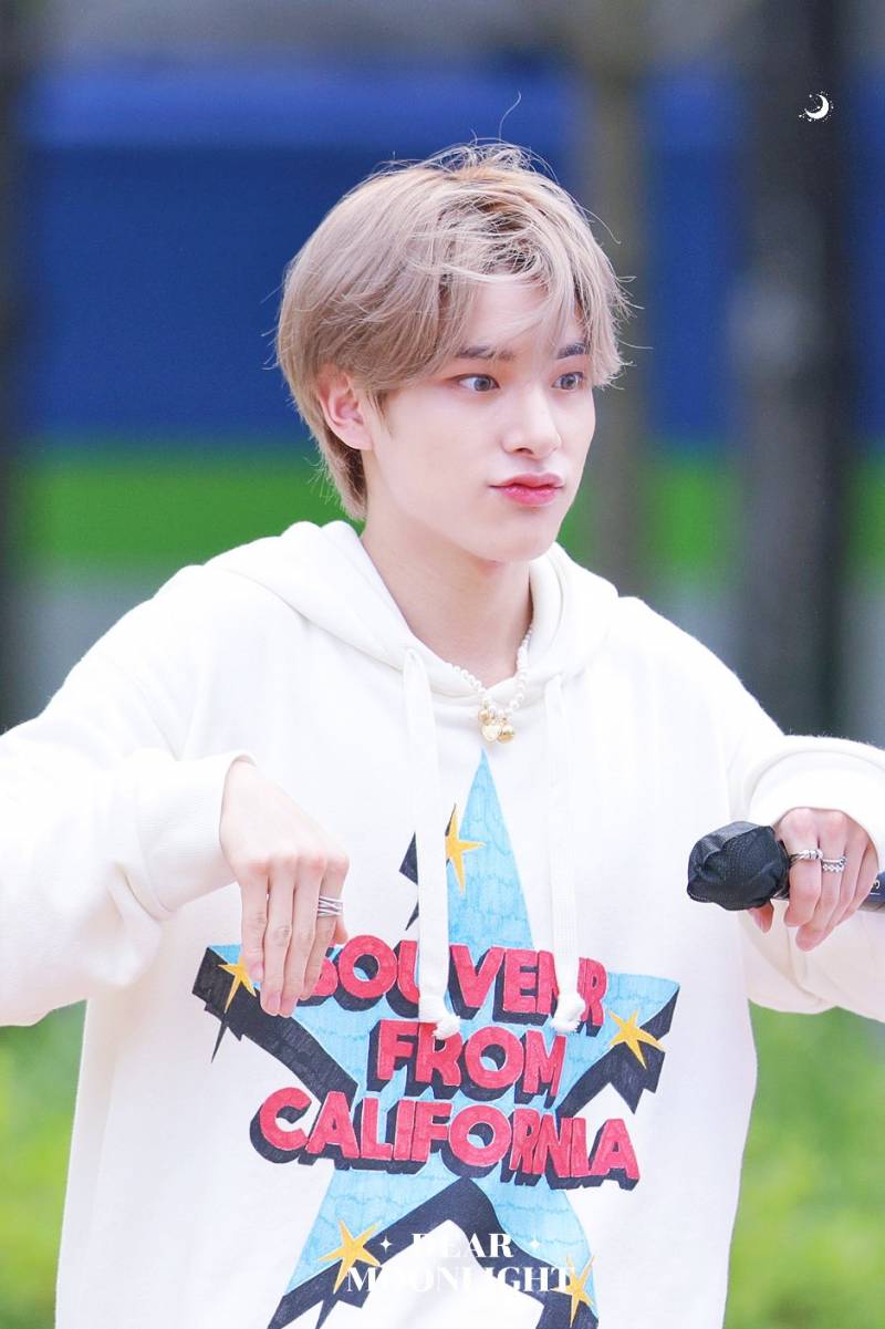 아이돌로 활동 중이라는 강아지 | 인스티즈