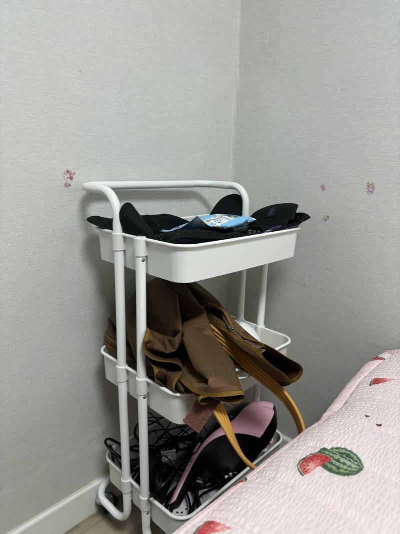 [잡담] 물건 자꾸 여기저기 둬서 이동식 수납장 샀는데 좋다 | 인스티즈