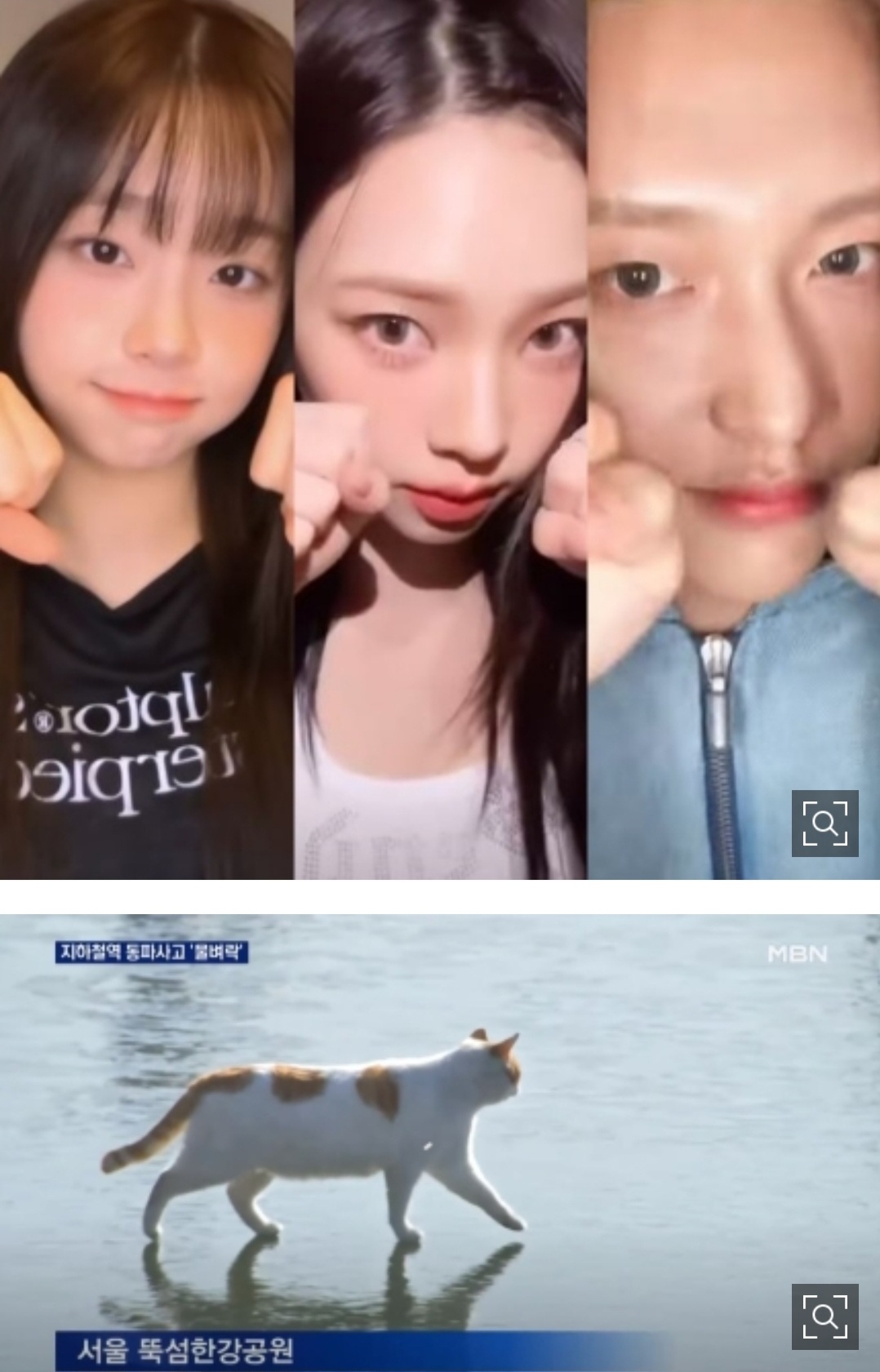 [정보/소식] "꽁꽁 얼어붙은 한강에…" 원빈·카리나·츄도 반한 '꽁냥이' 챌린지 [소셜in] | 인스티즈
