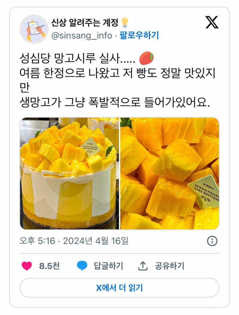 미친거같은 성심당 망고시루 실사.JPG | 인스티즈
