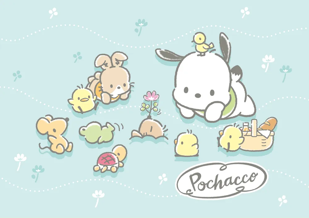 [잡담] 산리오 알못이 생각했던 인기캐들 | 인스티즈