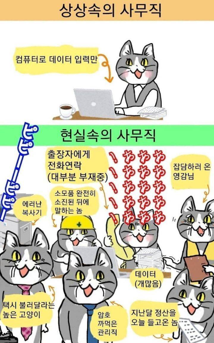[잡담] 사무직의 현실이라는데 이거 진짜야? | 인스티즈