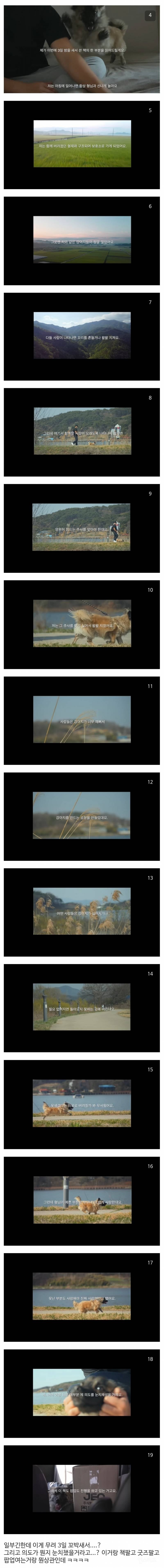 강아지 유튜버 못생긴 노을이 논란 정리.jpg | 인스티즈