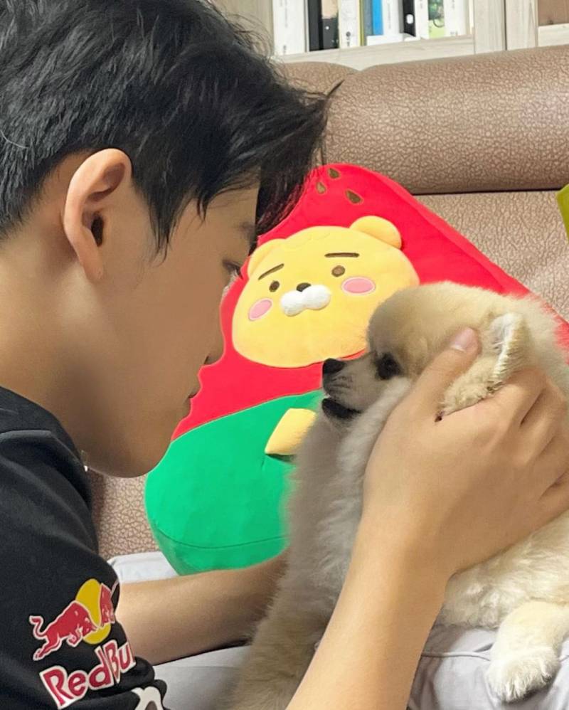[잡담] 둥이는 어쩜 저렇게 새우튀김 같지 | 인스티즈