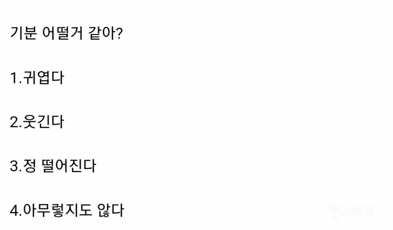소개팅 상대가 약속장소에 무지개 색 양산 쓰고 나옴 | 인스티즈