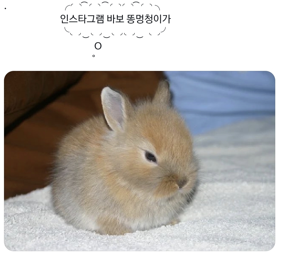 [잡담] 도영이 인스타에 멋지게 글 남겼는데 | 인스티즈