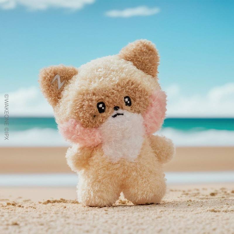 팬 아니어도 사고 싶게 하는 콜라보 인형 | 인스티즈