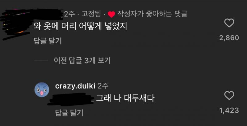 요즘 내 피드 비둘기로 도배 됨 | 인스티즈