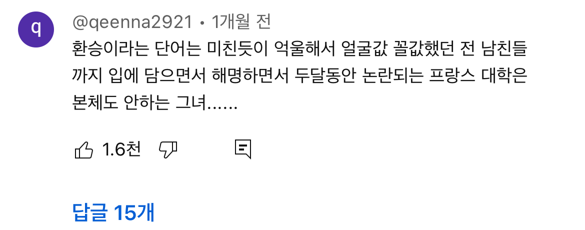 [정리글] 나불나불 나피디 탓하는 악플러의 댓글 목록 | 인스티즈