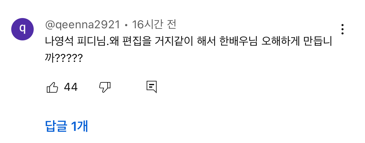 [정리글] 나불나불 나피디 탓하는 악플러의 댓글 목록 | 인스티즈
