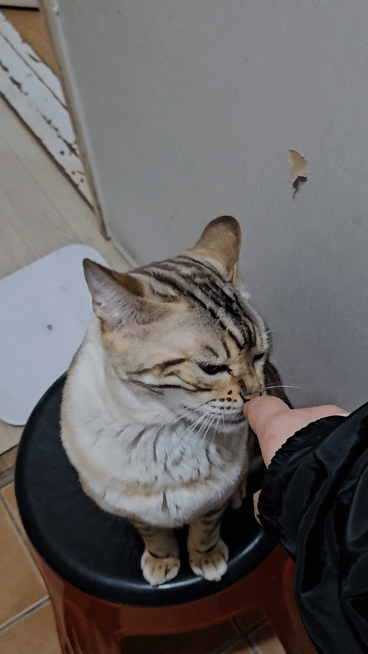 [잡담] 나가지 말라고 잡는중 | 인스티즈