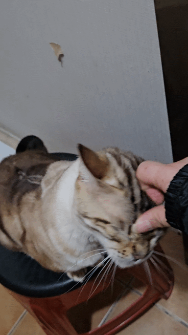 [잡담] 나가지 말라고 잡는중 | 인스티즈