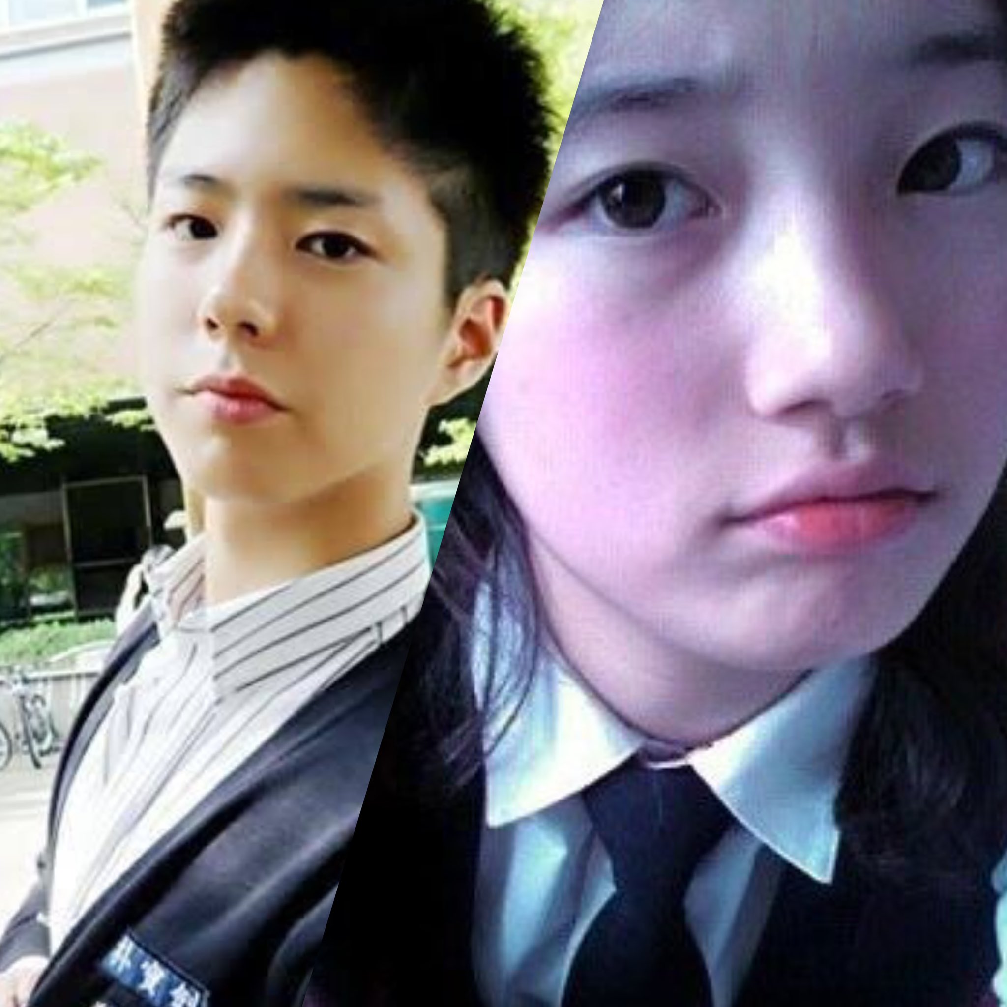[잡담] 박보검이랑 수지 학생 때랑 ㄹㅇ 똑같닼ㅋㅋㅋ | 인스티즈