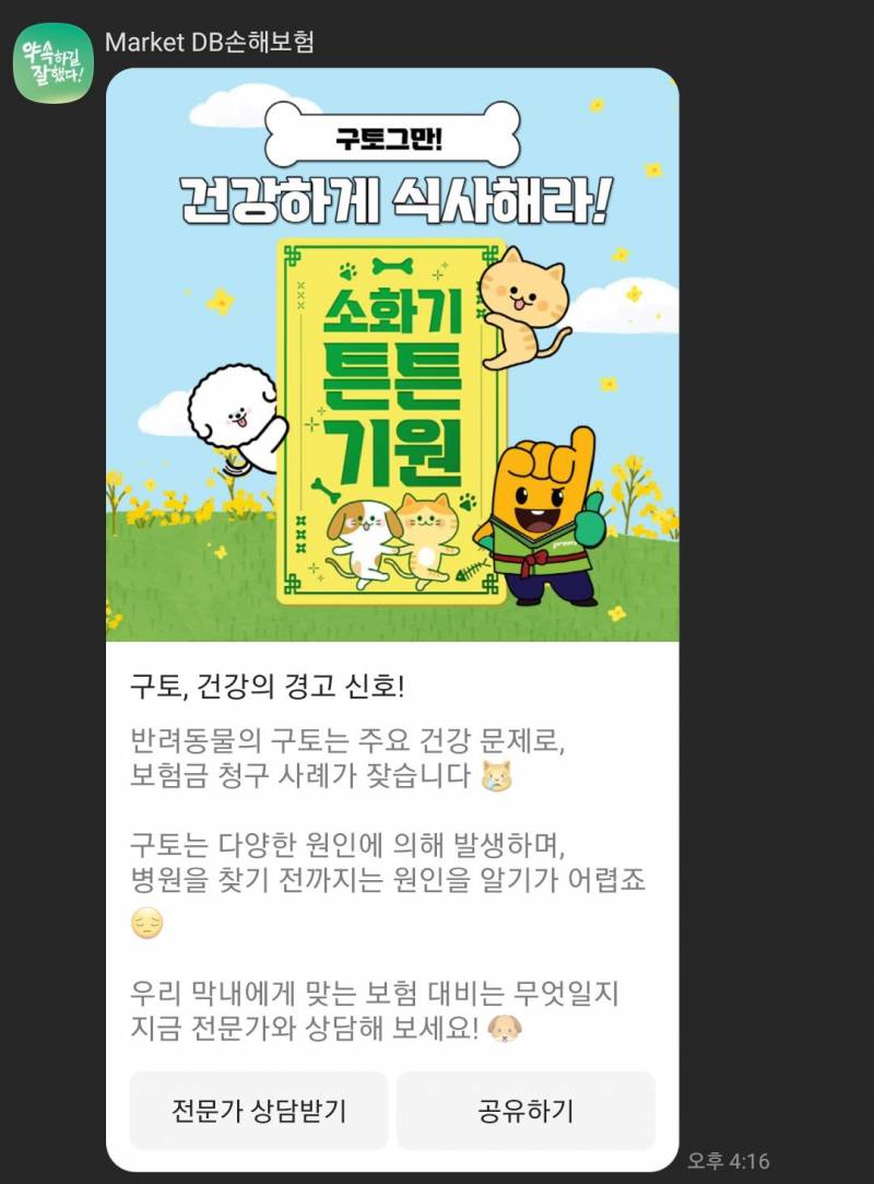 [잡담] 건강부적 뿌린당 | 인스티즈