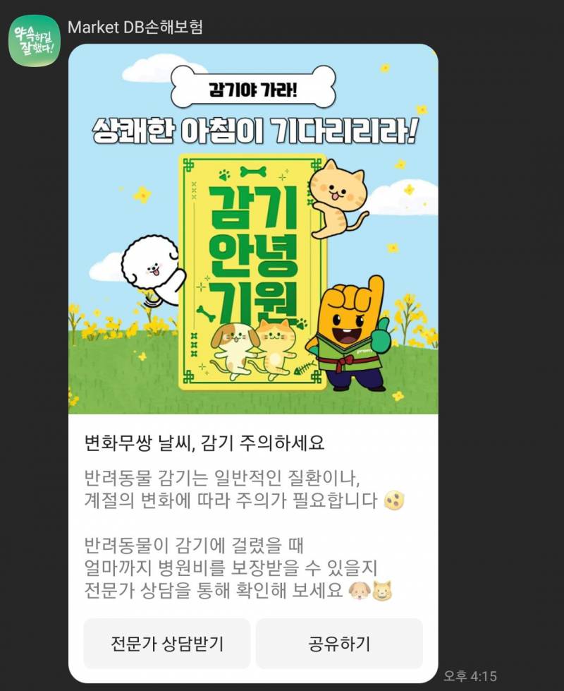 [잡담] 건강부적 뿌린당 | 인스티즈