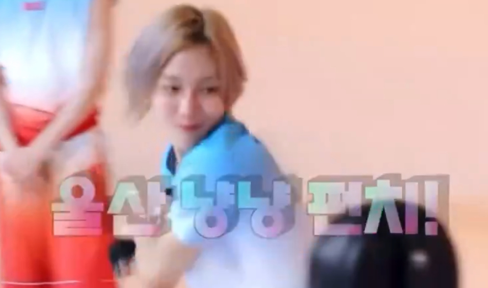 [잡담] 원빈이 쟉고 하찮은거 언제 안귀엽냐 | 인스티즈