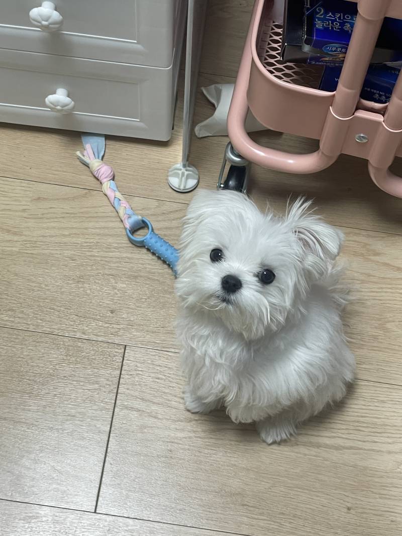 [잡담] 우리집 아기 드디어 6차까지 다 맞았어 | 인스티즈
