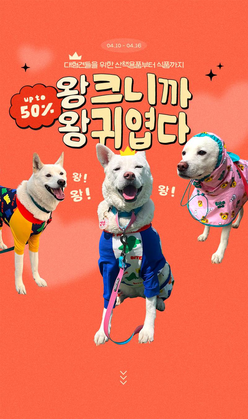 [잡담] 의외로 모르는사람많은 "왕크니까 왕귀엽다" 유래 | 인스티즈