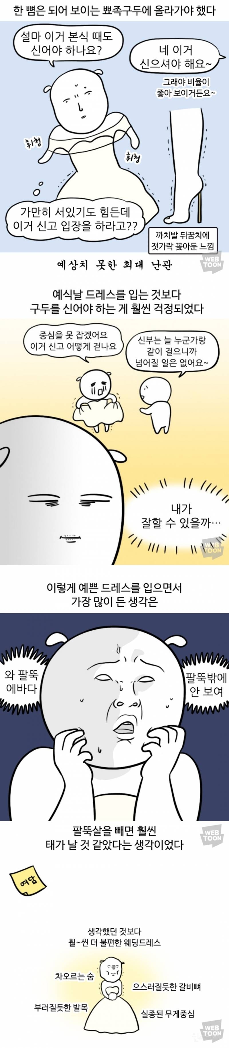 웨딩드레스 피팅 웹툰 후기 | 인스티즈