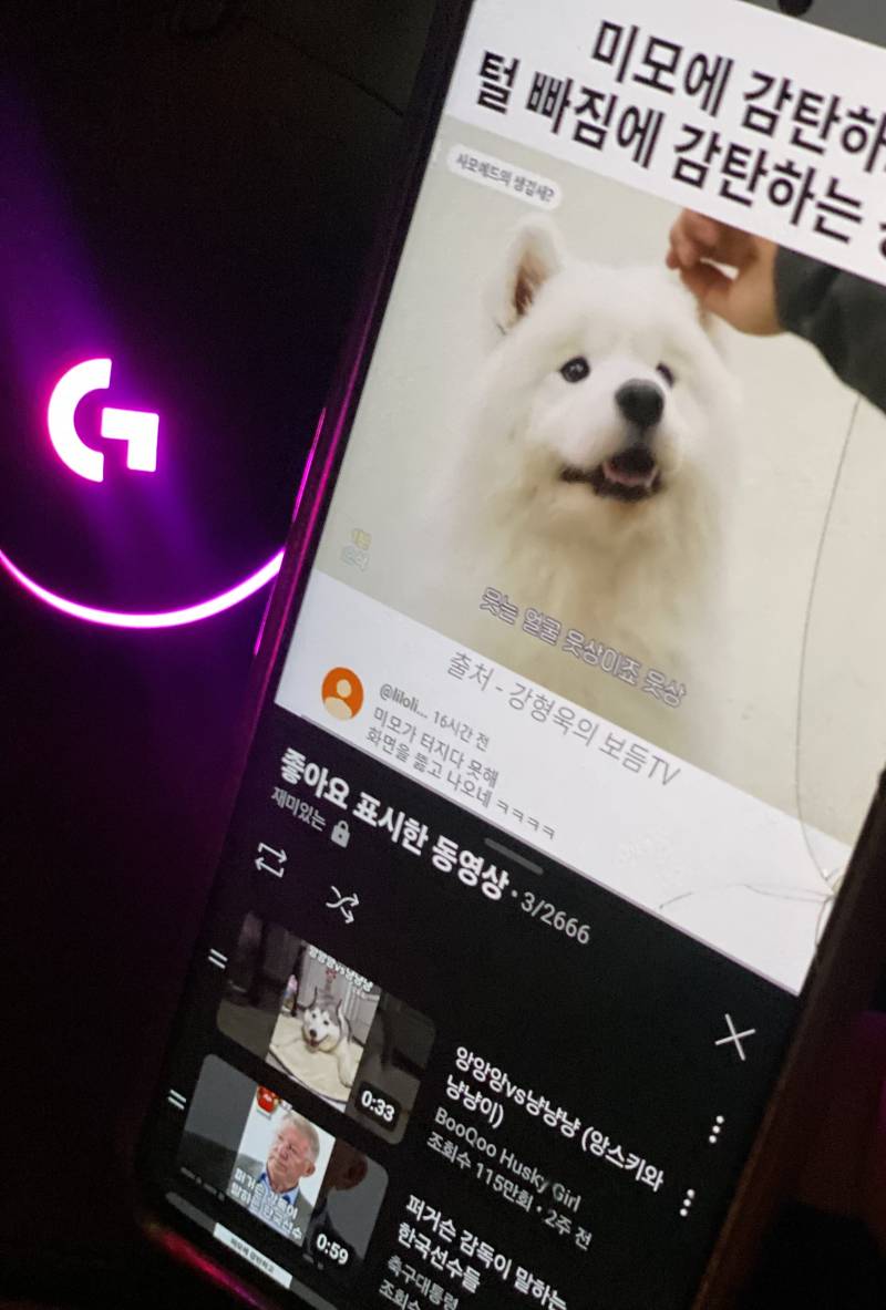 [연애중] 애인이 나 엄청 아기취급하는데 | 인스티즈