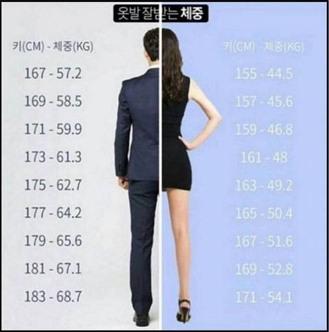 현재 반응갈리는 옷빨 잘 받는 체중.JPG | 인스티즈