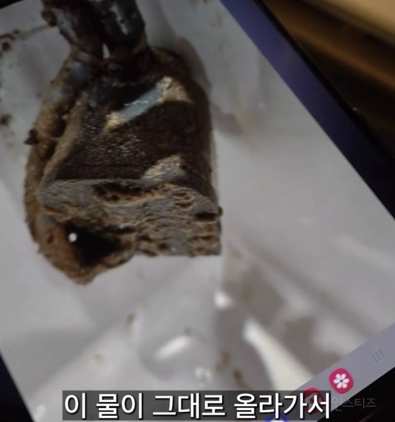 제빙기 관리자가 아아 안마시는 충격적인 이유 | 인스티즈