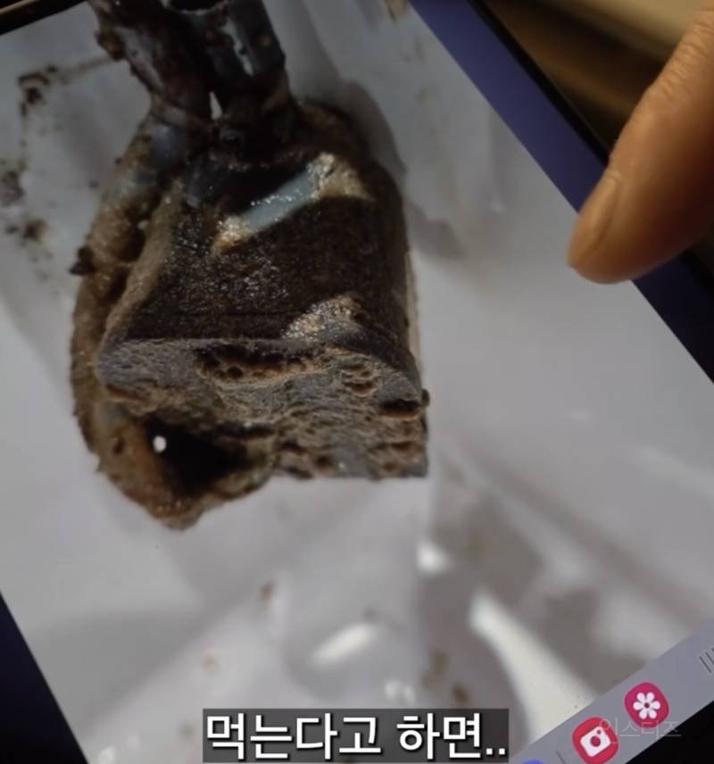 제빙기 관리자가 아아 안마시는 충격적인 이유 | 인스티즈