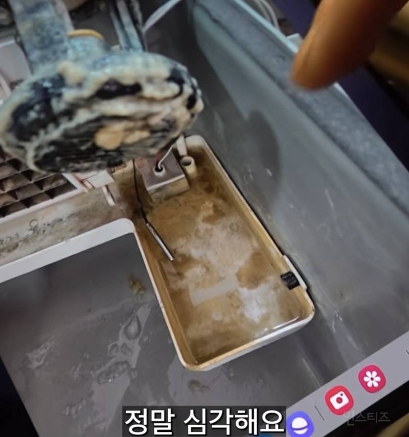 제빙기 관리자가 아아 안마시는 충격적인 이유 | 인스티즈