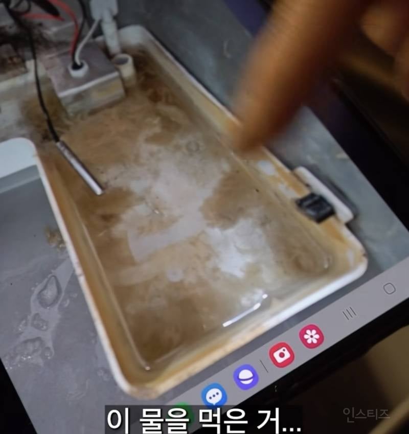 제빙기 관리자가 아아 안마시는 충격적인 이유 | 인스티즈