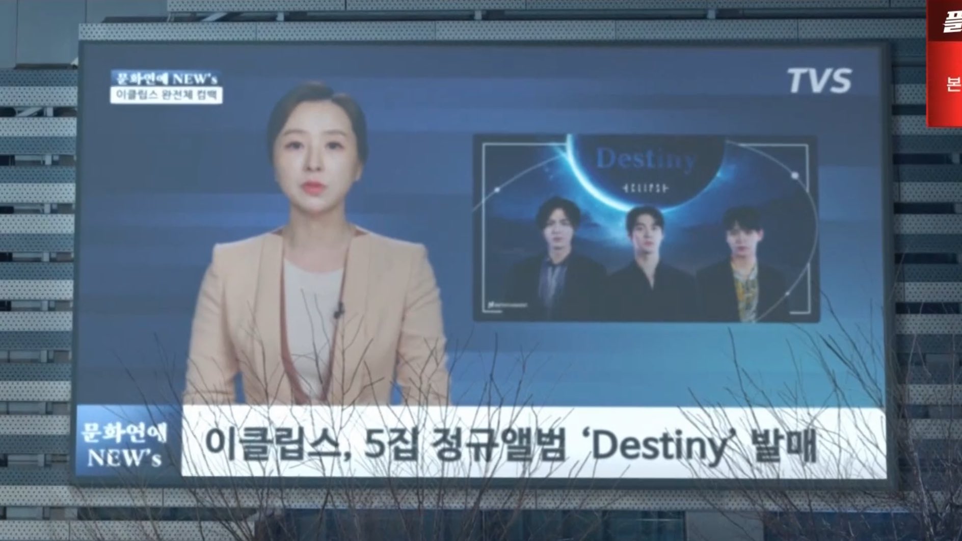 [잡담] 오늘 내세상이 무너졌어 이클립스에 선재가 없단다 | 인스티즈