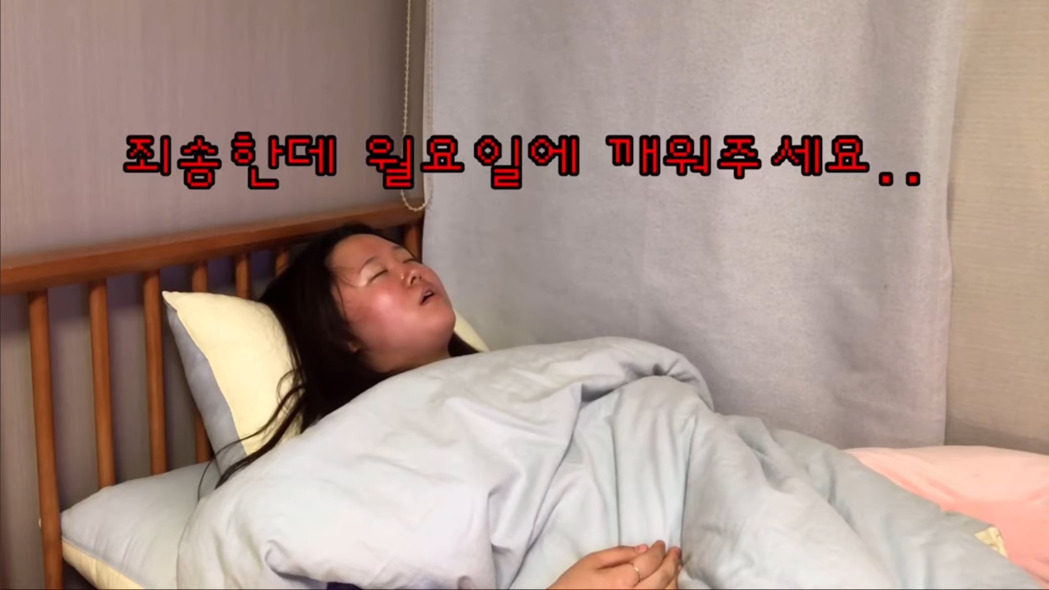 [잡담] 연서대학교 cc 솔선 오라오라.....🤩🤩 | 인스티즈