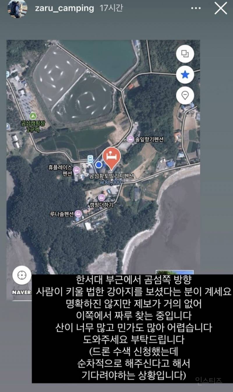 강아지 유튜버 개 잃어버렸는데 "그럴 줄 알았다" 반응 싸늘 | 인스티즈